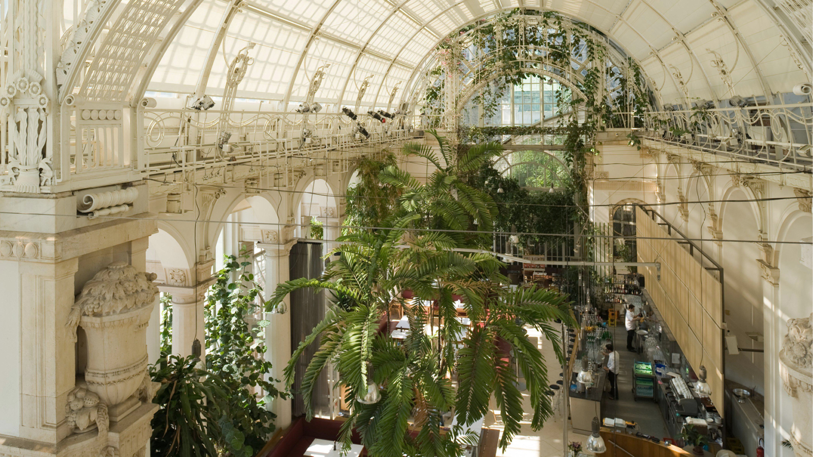 Palmenhaus